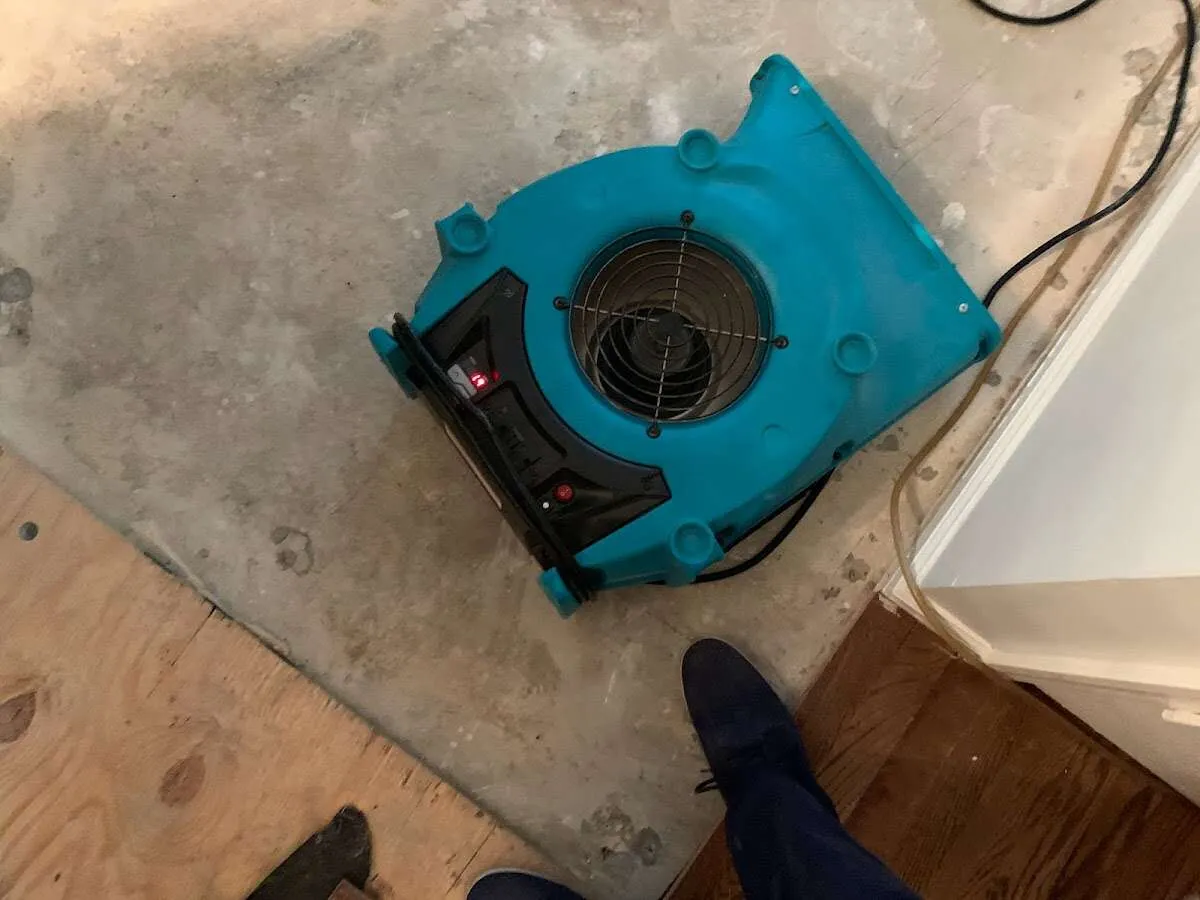 Air mover drying subfloor during Leak Detection & Repair in Clovis